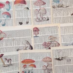 Mushroom Dictionary Prints 4, Colorful Mushroom Prints, Book Page Prints